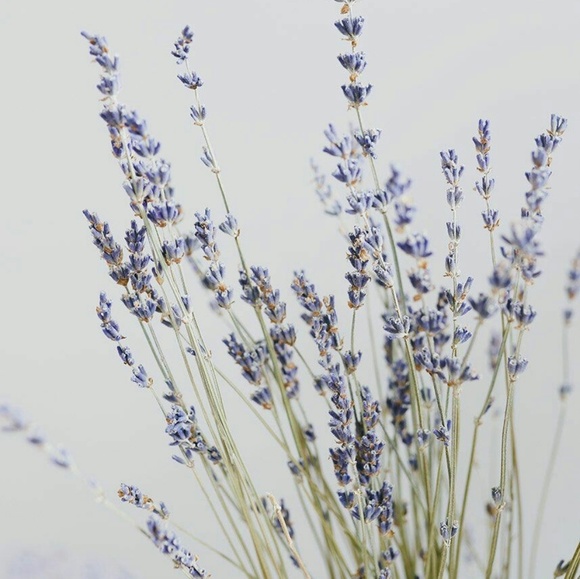 Meet your Posher, Kari - Picture 1 of 1